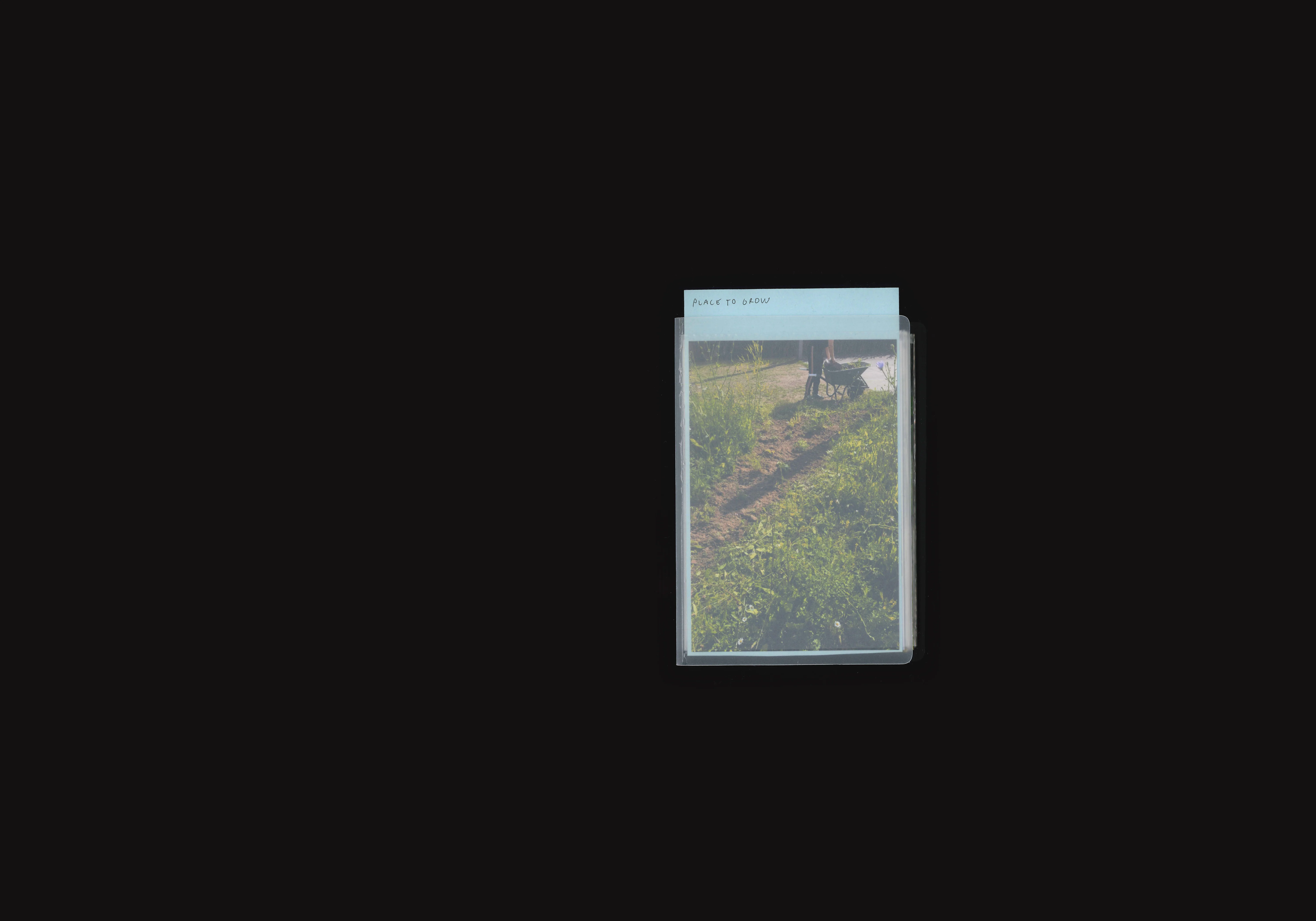 Place to Grow,image 1